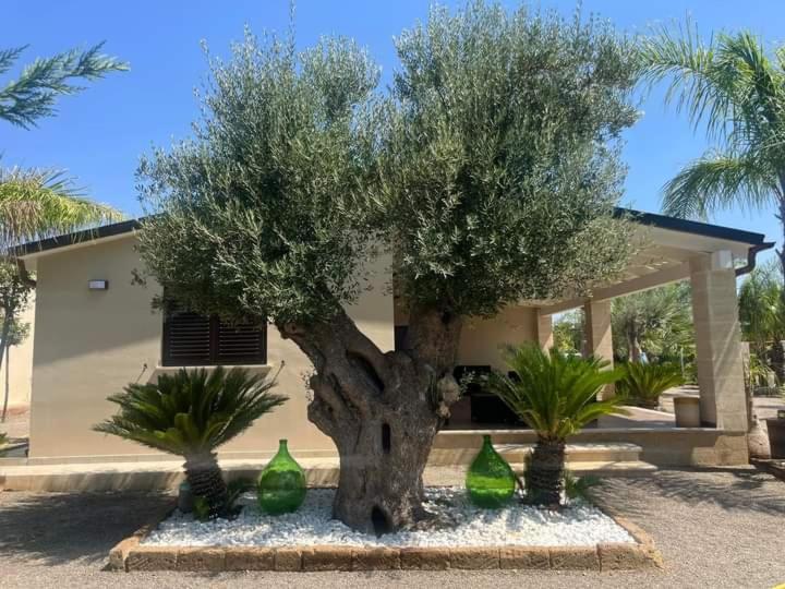 Relais San Giovanni Srls 卡斯泰拉内塔 外观 照片